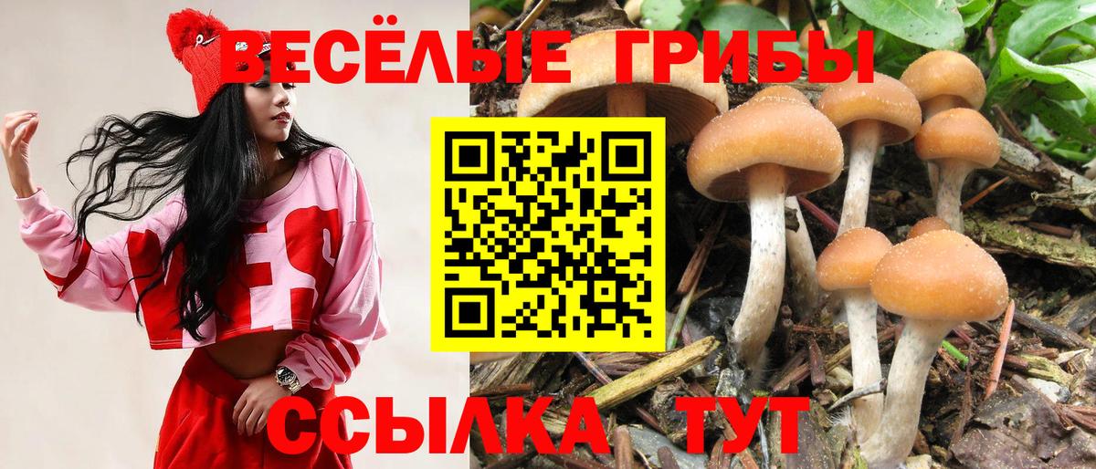 Галлюциногенные грибы мицелий  магазин продажи наркотиков  Благовещенск  Вход с VPN 