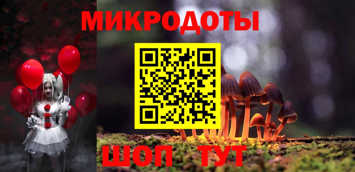 Псилоцибиновые грибы Psilocybe Благовещенск